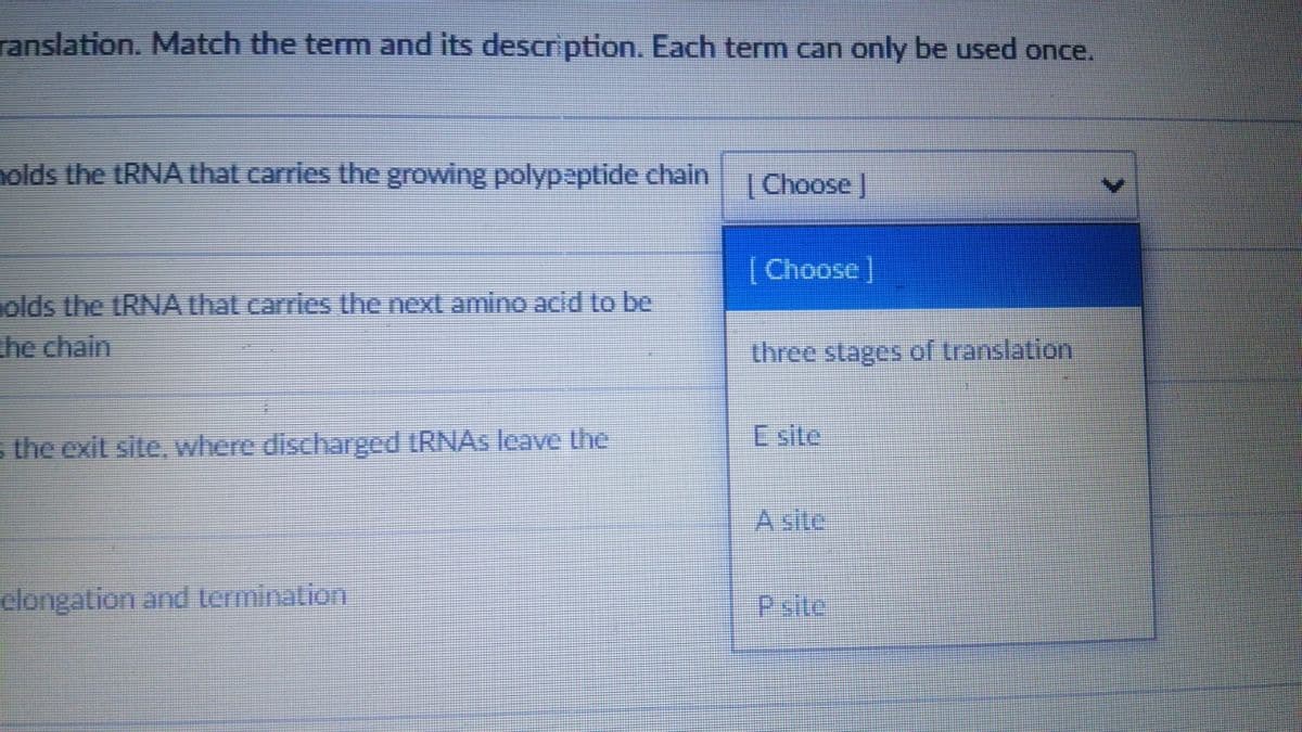 ranslation. Match the term and its description. Each term can only be used once.
nolds the tRNA that carries the growing polypaptide chain
|Choose J
[Choose]
olds the tRNA that carries the next amino acid to be
the chain
three stages of translation
s the exit site, where discharged tRNAs leave the
E site
A site
elongation and termination
Psite
