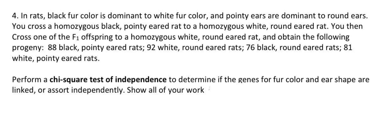 4. In rats, black fur color is dominant to white fur color, and pointy ears are dominant to round ears.
You cross a homozygous black, pointy eared rat to a homozygous white, round eared rat. You then
Cross one of the F1 offspring to a homozygous white, round eared rat, and obtain the following
progeny: 88 black, pointy eared rats; 92 white, round eared rats; 76 black, round eared rats; 81
white, pointy eared rats.
Perform a chi-square test of independence to determine if the genes for fur color and ear shape are
linked, or assort independently. Show all of your work
