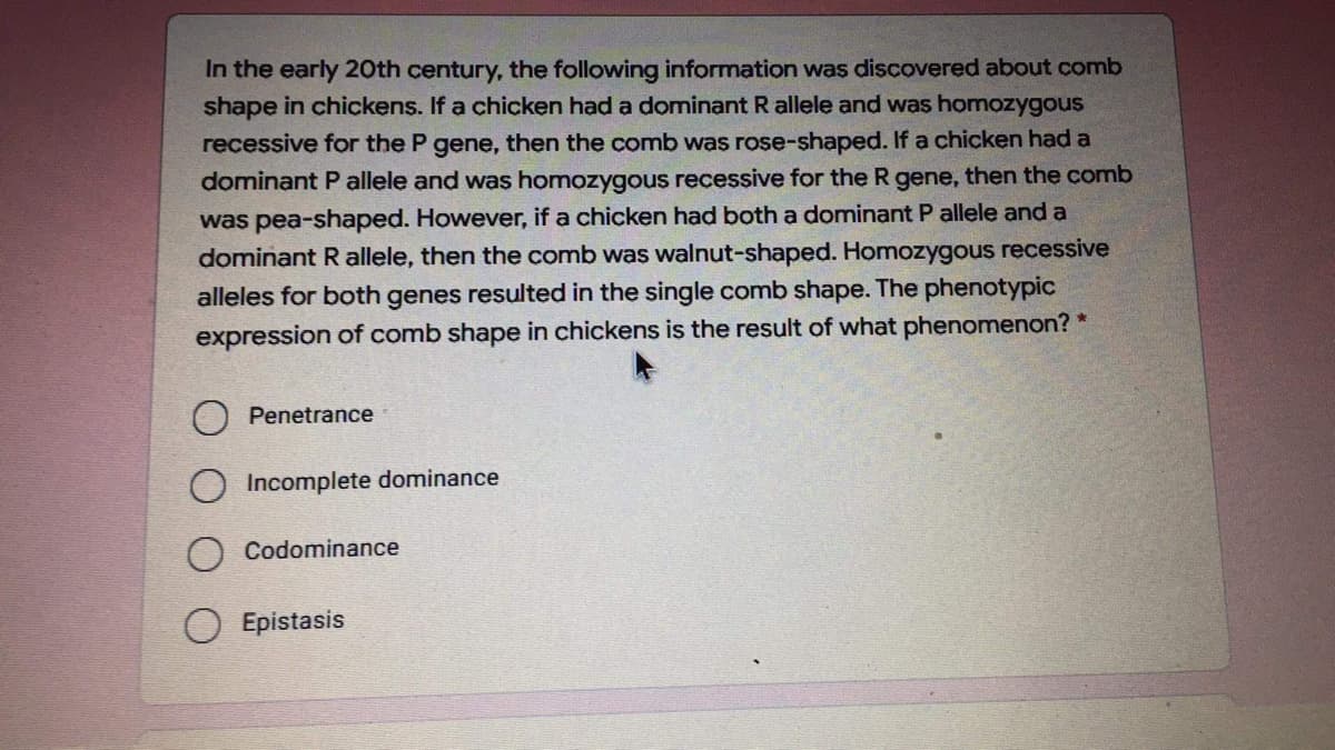 In the early 20th century, the following information was discovered about comb
shape in chickens. If a chicken had a dominant R allele and was homozygous
recessive for the P gene, then the comb was rose-shaped. If a chicken had a
dominant Pallele and was homozygous recessive for the R gene, then the comb
was pea-shaped. However, if a chicken had both a dominant P allele and a
dominant R allele, then the comb was walnut-shaped. Homozygous recessive
alleles for both genes resulted in the single comb shape. The phenotypic
expression of comb shape in chickens is the result of what phenomenon? *
Penetrance
Incomplete dominance
Codominance
Epistasis
