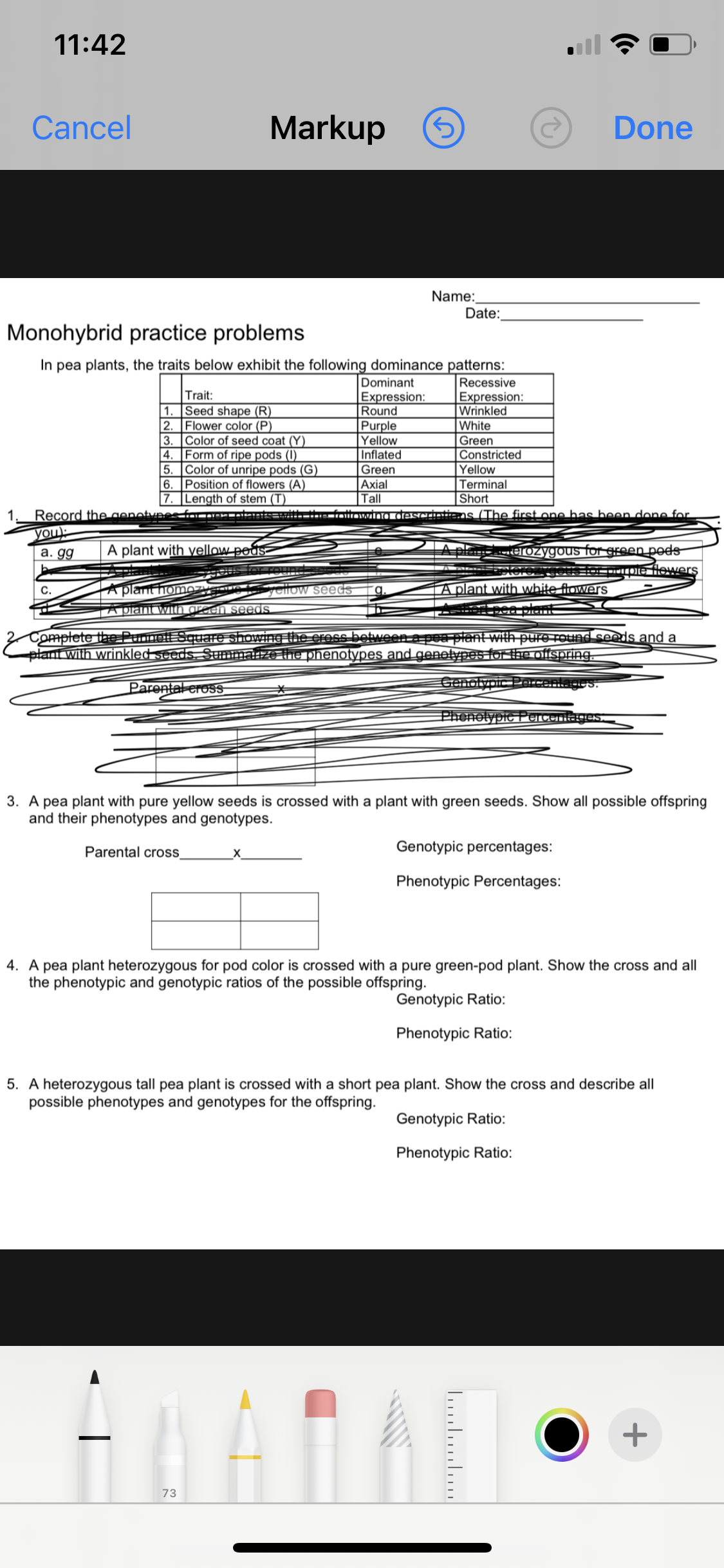 11:42
ll
Cancel
Markup
Done
Name:
Date:
Monohybrid practice problems
In pea plants, the traits below exhibit the following dominance patterns:
Recessive
Expression:
Wrinkled
Dominant
Expression:
Round
Purple
|Yellow
Inflated
Green
Trait:
1. Seed shape (R)
2. Flower color (P)
3.
White
Green
|Constricted
Yellow
Terminal
Short
Color of seed coat (Y)
Form of ripe pods (I)
4.
5.
|Color of unripe pods (G)
6.
Position of flowers (A)
7. Length of stem (T)
Axial
Tall
Record the genetvnes f-Der-- = foltrawino deserintins (The first one has been done for
you):
а. дg
A plant with yellow poás-
EplancteOZygous for ereen pods
N 0)e Owers
С.
A plant homozvaoue ycilow seeds
A plant with white flowers
TA piamt wilh areen seeds.
Complete the Punnett Squae showing the eress between a pea plant wth pure round seeds and a
plant with wrinkled seeds. Summanze the phenotypes and genotypes for the offspring.
Genolynic PorcentagCS.
Parental cross
PhenolypicPerceniageS
3. A pea plant with pure yellow seeds is crossed with a plant with green seeds. Show all possible offspring
and their phenotypes and genotypes.
Parental cros
_X_
Genotypic percentages:
Phenotypic Percentages:
4. A pea plant heterozygous for pod color is crossed with a pure green-pod plant. Show the cross and all
the phenotypic and genotypic ratios of the possible offspring.
Genotypic Ratio:
Phenotypic Ratio:
5. A heterozygous tall pea plant is crossed with a short pea plant. Show the cross and describe all
possible phenotypes and genotypes for the offspring.
Genotypic Ratio:
Phenotypic Ratio:
+
73
