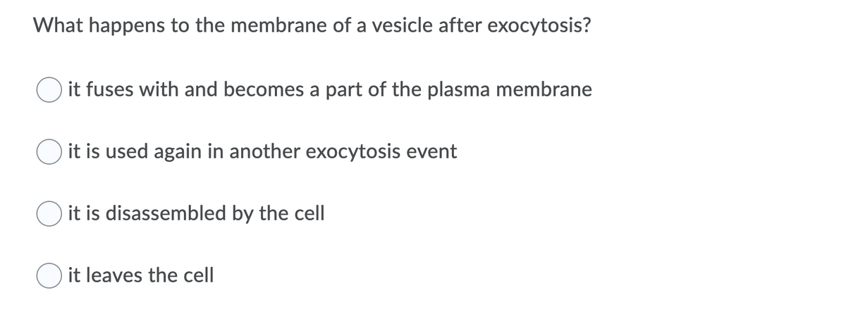 What happens to the membrane of a vesicle after exocytosis?
it fuses with and becomes a part of the plasma membrane
it is used again in another exocytosis event
it is disassembled by the cell
it leaves the cell
