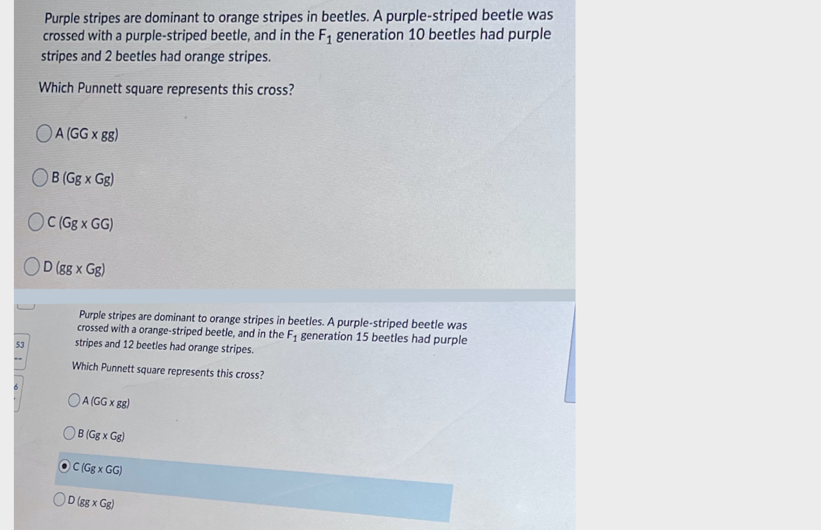 Purple stripes are dominant to orange stripes in beetles. A purple-striped beetle was
crossed with a purple-striped beetle, and in the F, generation 10 beetles had purple
stripes and 2 beetles had orange stripes.
Which Punnett square represents this cross?
A (GG x gg)
B (Gg x Gg)
O CGg x GG)
D (gg x Gg)
Purple stripes are dominant to orange stripes in beetles. A purple-striped beetle was
crossed with a orange-striped beetle, and in the F, generation 15 beetles had purple
stripes and 12 beetles had orange stripes.
53
Which Punnett square represents this cross?
OA (GG x gg)
OB (Gg x Gg)
OC Gg x GG)
D (gg x Gg)
