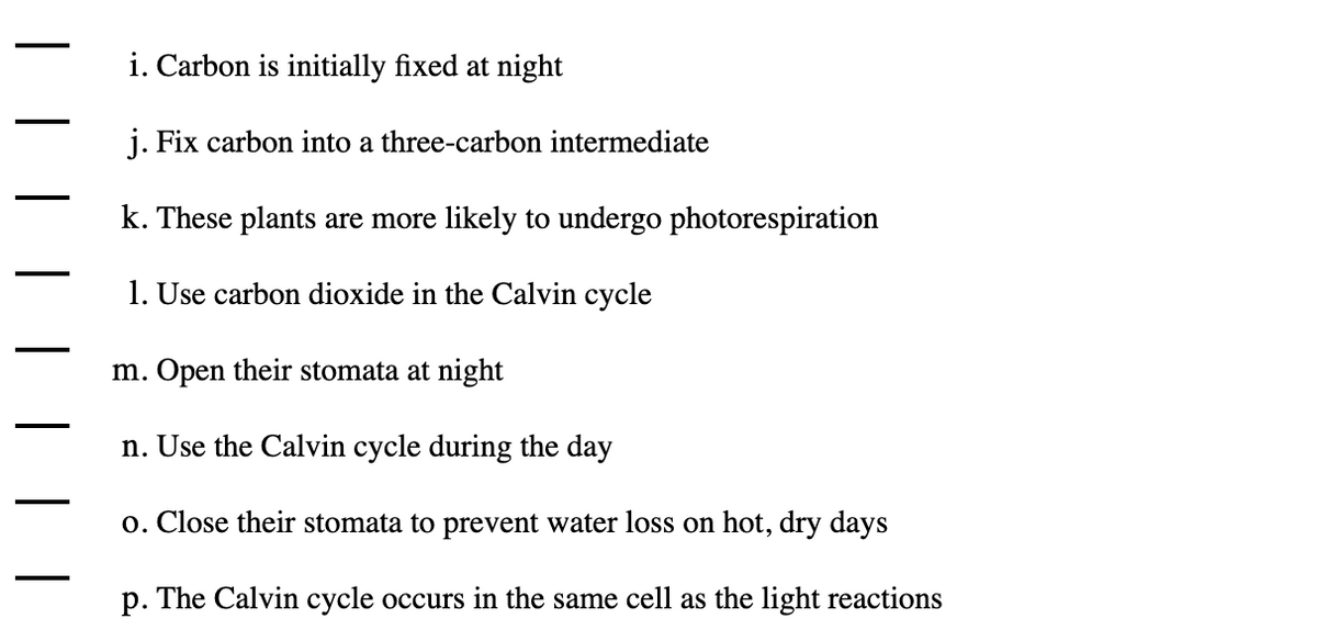 i. Carbon is initially fixed at night
j. Fix carbon into a three-carbon intermediate
-
k. These plants are more likely to undergo photorespiration
1. Use carbon dioxide in the Calvin cycle
m. Open their stomata at night
n. Use the Calvin cycle during the day
o. Close their stomata to prevent water loss on hot, dry days
p. The Calvin cycle occurs in the same cell as the light reactions
