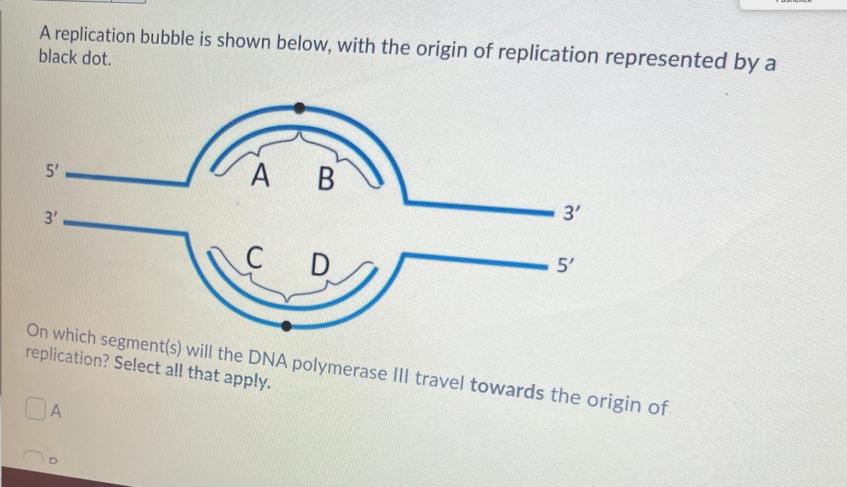 A replication bubble is shown below, with the origin of replication represented by a
black dot.
5'
A
3'
3'
5'
C
D
On which segment(s) will the DNA polymerase Ill travel towards the origin of
replication? Select all that apply.
OA
