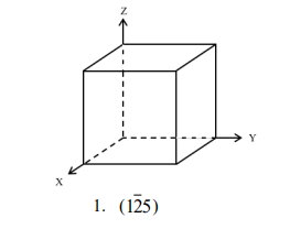 > Y
1. (125)
