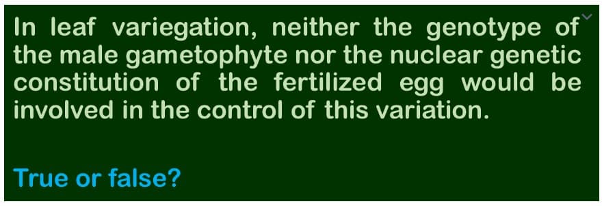 In leaf variegation, neither the genotype of
the male gametophyte nor the nuclear genetic
constitution of the fertilized egg would be
involved in the control of this variation.
True or false?
