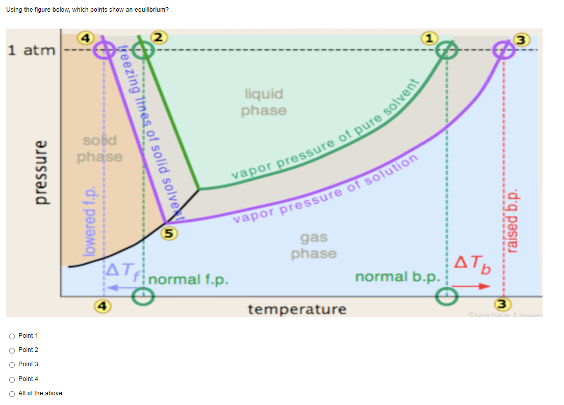 Using the figure below, which points show an equilibrium?
1 atm
liquid
phase
soid
phase
gas
phase
AT
inormal f.p.
ΔΤ
normal b.p.
temperature
3
Stanhen
O Point 1
O Point 2
O Point 3
O Point 4
O All of the above
pressure
lowered f.p.
treezing Itnes of solid solve
----d
raised b.p.
