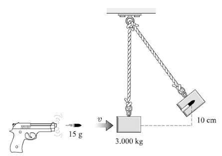 10 cm
15 g
3.000 kg
