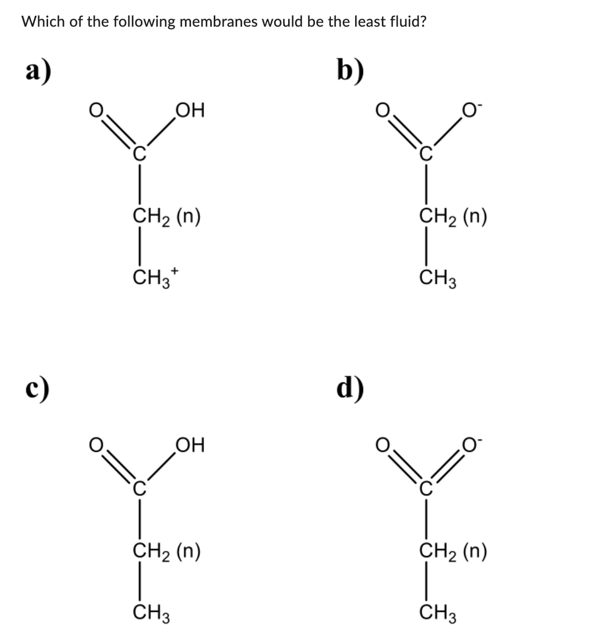 **Question:**
Which of the following membranes would be the least fluid? 

**Options:**

**a)**
```
        O
        ||
    O--C
        |
     CH2 (n)
        |
     CH3+
```

**b)**
```
        O
        ||
     O--C
        |
    CH2 (n)
        |
     CH3  
```
       
**c)**
```
        O
        ||
    O--C
        |
     CH2 (n)
        |
     CH3  
```
      
**d)**
```
        O
        ||
     O--C
        |
    CH2 (n)
        |
     CH3  
```

**Explanation:**

The question presents four different molecular structures, labeled as options a), b), c), and d). Each structure is a schematic representation of a membrane component. The task is to identify which of the given membranes would exhibit the least fluidity.

1. **Option a)** features a carboxylic acid group (–COOH) at the end, followed by a hydrocarbon chain. Notably, a methyl group (CH3) bears a positive charge at the end of the chain.
2. **Option b)** depicts a deprotonated carboxylate group (–COO-) at the end, followed by a hydrocarbon chain with a neutral methyl group (CH3) at its end.
3. **Option c)** shows a carboxylic acid group (–COOH) at the end, similar to option a), followed by a hydrocarbon chain and a neutral methyl group (CH3) at its end.
4. **Option d)** illustrates a deprotonated carboxylate group (–COO-) at the end, similar to option b), followed by a hydrocarbon chain and a neutral methyl group (CH3) at its end.

To determine membrane fluidity, one should consider the saturation level of the hydrocarbon chains, the presence of double bonds, and the type of terminal functional groups. Saturated chains (no double bonds) and tightly packed structures tend to be less fluid.

Based on these considerations, options b) and d) are more likely to be less fluid due to the presence of negatively charged carboxylate groups (–COO-), which can form stronger interactions (like ionic bonds or hydrogen bonds) compared to the neutral group structures