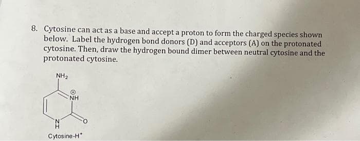 ## Understanding Protonated Cytosine and Hydrogen Bonding

### Question 8
Cytosine can act as a base and accept a proton to form the charged species shown below. Label the hydrogen bond donors (D) and acceptors (A) on the protonated cytosine. Then, draw the hydrogen-bound dimer between neutral cytosine and the protonated cytosine.

### Protonated Cytosine Structure
Below is the chemical structure of protonated cytosine:

```
NH₂
 \ 
  C
  |  \
N=C   N^+
 |   /
C=O
 | 
 H
(Cytosine-H+)
```

### Explanation
Here is the step-by-step analysis of the molecule:

1. **Hydrogen Bond Donors (D)**:
    - These are typically hydrogen atoms attached to more electronegative atoms like nitrogen (N) or oxygen (O), which can participate in hydrogen bonding by donating their hydrogen.
    - In the given cytosine-H⁺ structure, hydrogen bond donors are hydrogens attached to nitrogen atoms or others suitably positioned in cytosine.

2. **Hydrogen Bond Acceptors (A)**:
    - These are atoms with lone pairs of electrons that can accept hydrogen bonds, typically nitrogen (N) or oxygen (O) atoms.
    - In the protonated cytosine, nitrogen and oxygen atoms with lone pairs can act as hydrogen bond acceptors.

### Labeling Donors and Acceptors:
- In the given molecule, label as follows:
    - The NH₂ group has two hydrogen atoms attached to nitrogen, which are hydrogen bond donors (D).
    - The nitrogen atom attached to the proton (N^+H) is a hydrogen bond donor (D) due to the newly added hydrogen.
    - The carbonyl oxygen (=O) and the nitrogen within the ring (not attached to H) are hydrogen bond acceptors (A) because they have lone pairs.

### Drawing the Dimer:
The diagram should show two cytosine molecules interacting through hydrogen bonds. One part of the diagram illustrates neutral cytosine; the other shows protonated cytosine. Ensure to clearly show the hydrogen bonds (typically represented by dotted lines) connecting donors (D) and acceptors (A).

For demonstrating hydrogen bonding in the dimer form:
- Highlight the hydrogen bond interactions between:
    - The amine group (NH₂) of