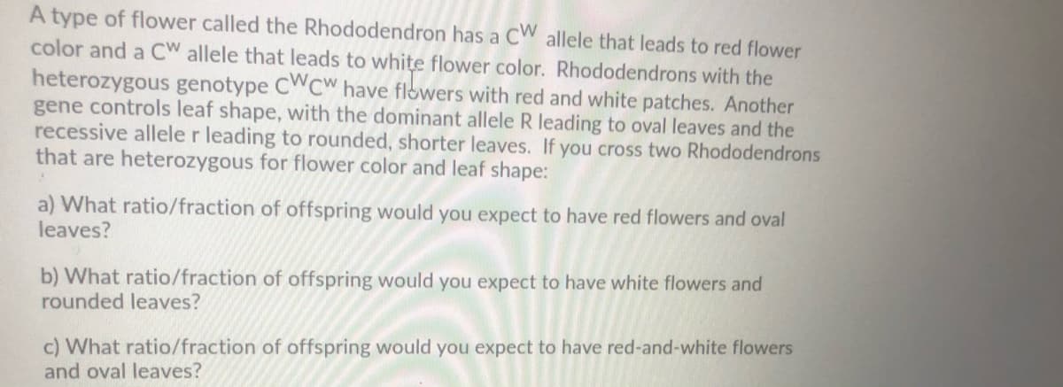 A type of flower called the Rhododendron has a CW allele that leads to red flower
color and a CW allele that leads to white flower color. Rhododendrons with the
heterozygous genotype CWCW have flowers with red and white patches. Another
gene controls leaf shape, with the dominant allele R leading to oval leaves and the
recessive allele r leading to rounded, shorter leaves. If you cross two Rhododendrons
that are heterozygous for flower color and leaf shape:
a) What ratio/fraction of offspring would you expect to have red flowers and oval
leaves?
b) What ratio/fraction of offspring would you expect to have white flowers and
rounded leaves?
c) What ratio/fraction of offspring would you expect to have red-and-white flowers
and oval leaves?
