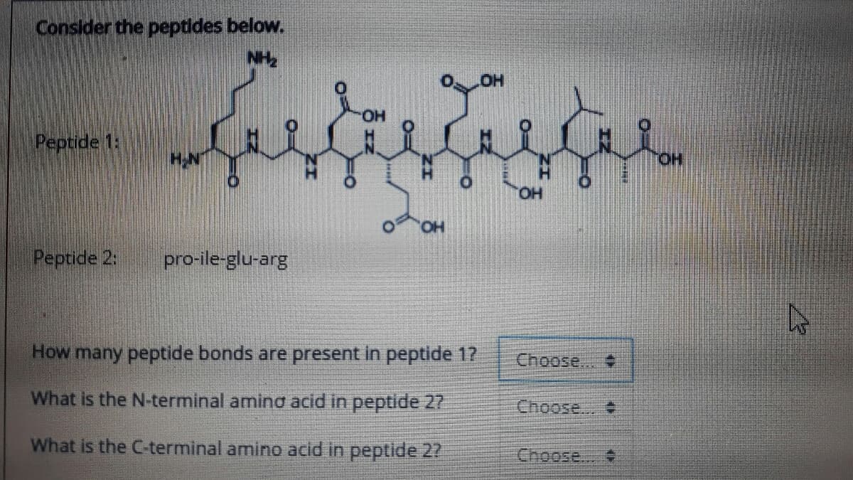 Consider the peptides below.
HOI
O-
Peptide 1:
"HO.
HO.
Peptide 2:
pro-ile-glu-arg
How many peptide bonds are present in peptide 1?
Choose...
What is the N-terminal aminơ acid in peptide 27
Choose..
What is the C-terminal amino acid in peptide 27
యంజ
