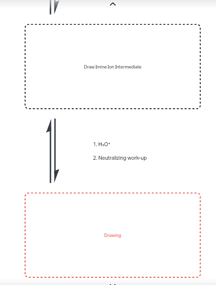 Draw Imine Ion Intermediate
1. H3O+
2. Neutralizing work-up
Drawing