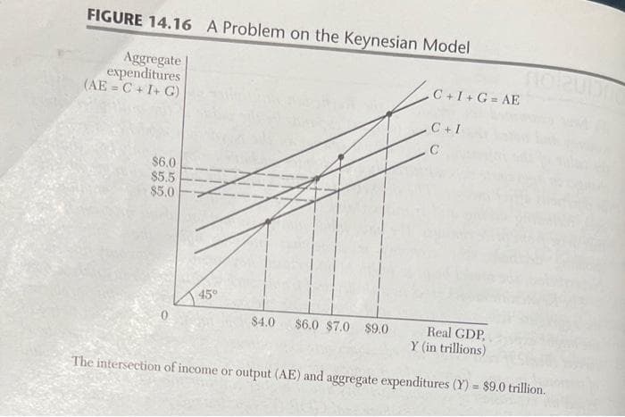 FIGURE 14.16 A Problem on the Keynesian Model
Aggregate
expenditures
(AE = C+ I+ G)
C +I+ G = AE
C+I
C
$6.0
$5.5
$5.0
450
$4.0
$6.0 $7.0 $9.0
Real GDP,
Y (in trillions)
The intersection of income or output (AE) and aggregate expenditures (Y) = $9.0 trillion.
%3!
