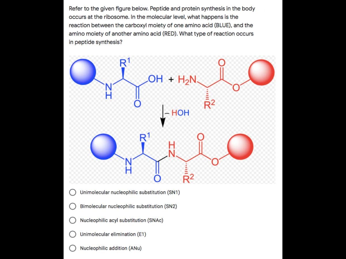 Refer to the given figure below. Peptide and protein synthesis in the body
occurs at the ribosome. In the molecular level, what happens is the
reaction between the carboxyl moiety of one amino acid (BLUE), and the
amino moiety of another amino acid (RED). What type of reaction occurs
in peptide synthesis?
R1
LOH + H2N.
R2
|- HOH
R1
H.
R2
O Unimolecular nucleophilic substitution (SN1)
O Bimolecular nucleophilic substitution (SN2)
O Nucleophilic acyl substitution (SNAC)
O Unimolecular elimination (E1)
O Nucleophilic addition (ANu)
IZ
ZI
ZI
