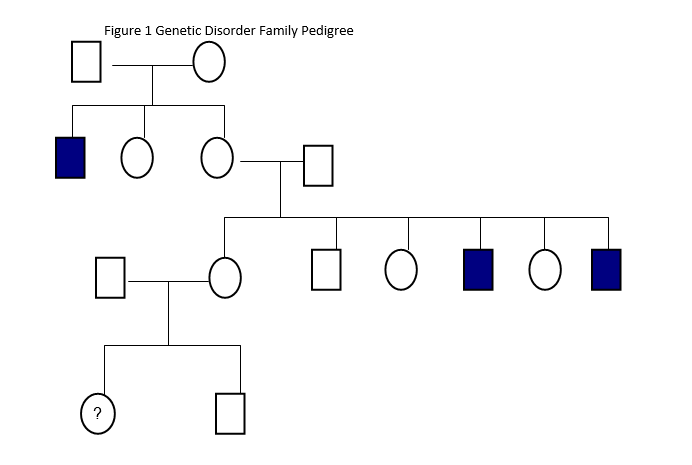 Figure 1 Genetic Disorder Family Pedigree
O-
?
