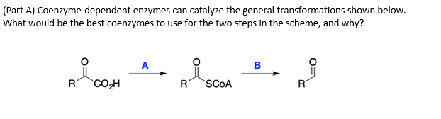 (Part A) Coenzyme-dependent enzymes can catalyze the general transformations shown below.
What would be the best coenzymes to use for the two steps in the scheme, and why?
в
CO2H
R
SCOA
R
