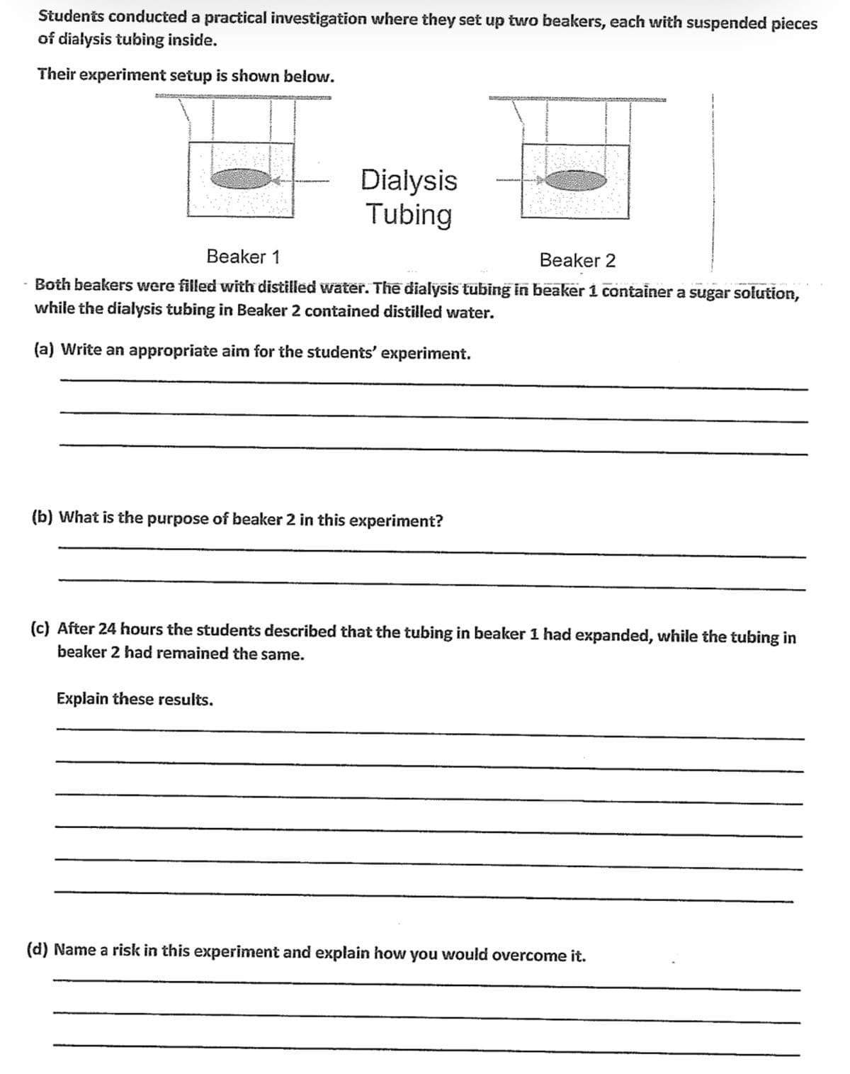 Students conducted a practical investigation where they set up two beakers, each with suspended pieces
of diałysis tubing inside.
Their experiment setup is shown below.
Dialysis
Tubing
Beaker 1
Beaker 2
Both beakers were filled with distilled water. Thế dialysis tubing in beaker 1 container a sugar solution,
while the dialysis tubing in Beaker 2 contained distilled water.
(a) Write an appropriate aim for the students' experiment.
(b) What is the purpose of beaker 2 in this experiment?
(c) After 24 hours the students described that the tubing in beaker 1 had expanded, while the tubing in
beaker 2 had remained the same.
Explain these results.
(d) Name a risk in this experiment and explain how you would overcome it.
