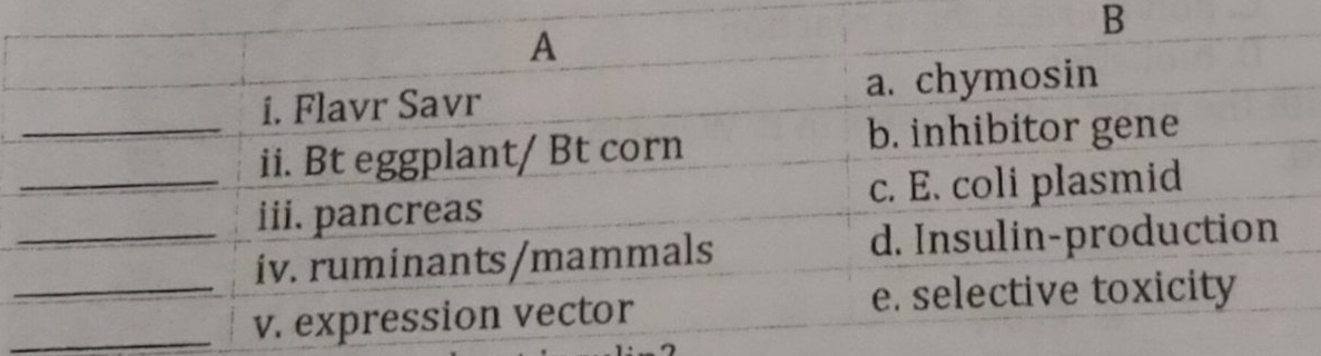 A
B
i. Flavr Savr
ii. Bt eggplant/ Bt corn
iii. pancreas
iv. ruminants/mammals
v. expression vector
a. chymosin
b. inhibitor gene
c. E. coli plasmid
d. Insulin-production
e. selective toxicity
