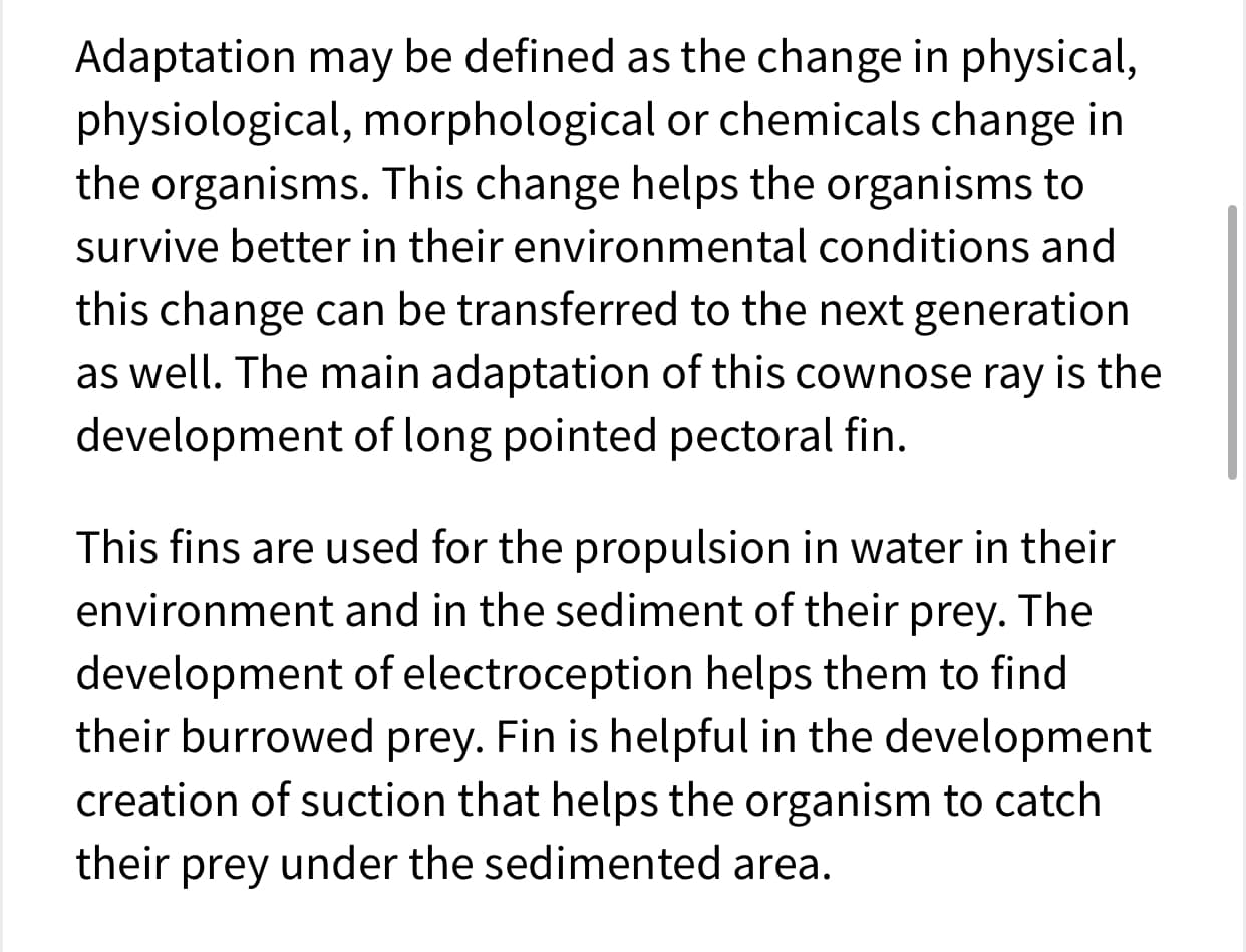 **Adaptation and Cownose Ray: Understanding Evolutionary Development**

Adaptation can be defined as the change in physical, physiological, morphological, or chemical traits of organisms. These changes help organisms to survive better in their environmental conditions and can be transferred to the next generation as well. 

### Cownose Ray and Its Adaptations

One significant adaptation of the cownose ray is the development of a long-pointed pectoral fin.

### Functions of the Pectoral Fin

- **Propulsion**: The fins are used for propulsion in water, aiding in the navigation and movement within their aquatic environment.
- **Hunting**: These fins also play a crucial role in locating prey buried in sediment through electroception.
- **Suction Creation**: The pectoral fins help in creating suction, which is essential for catching prey hidden under sedimented areas.

These adaptations illustrate how specific physical changes can enhance the survival and efficiency of an organism in its natural habitat.