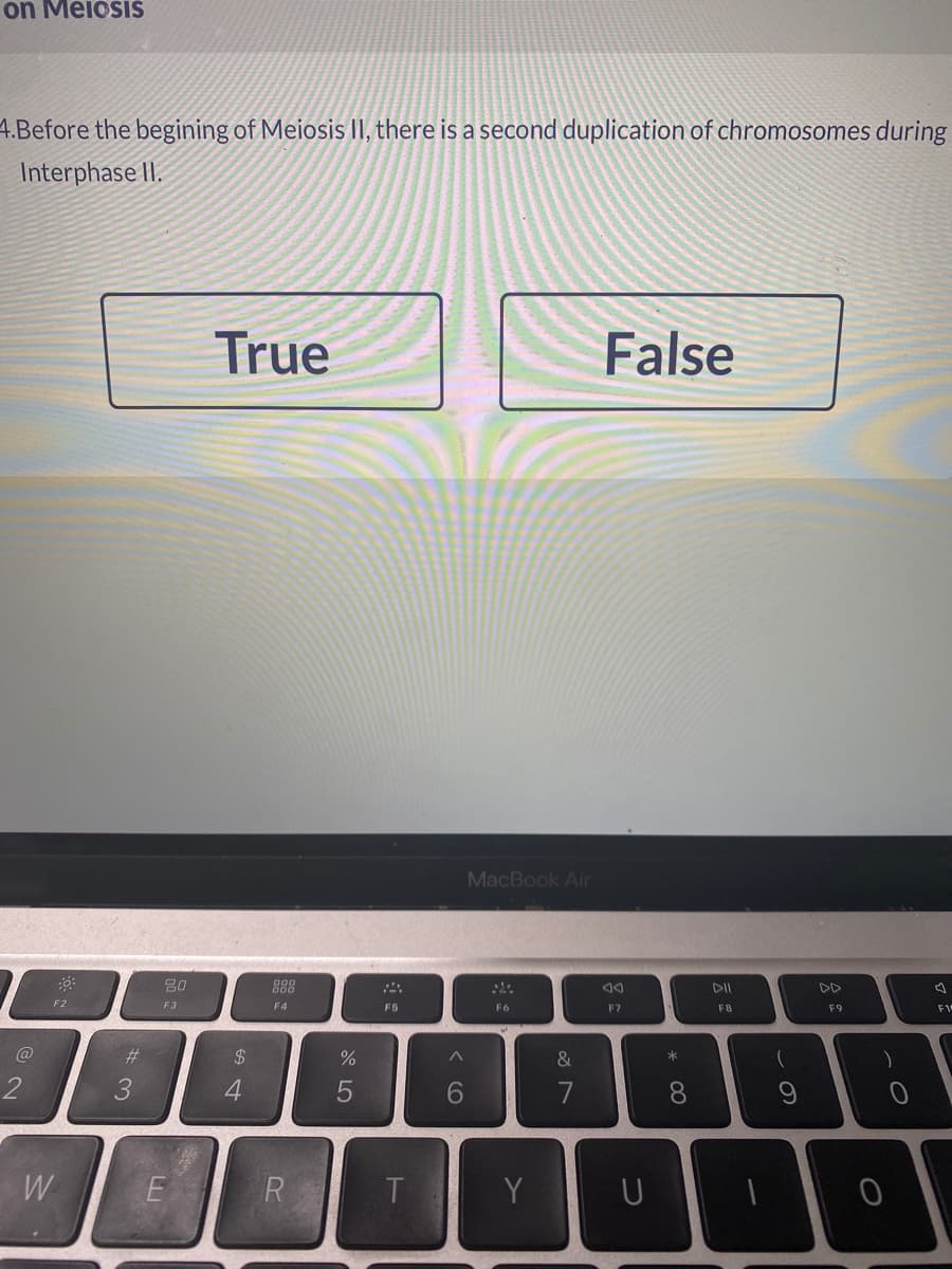 on Meiósiš
4.Before the begining of Meiosis II, there is a second duplication of chromosomes during
Interphase II.
True
False
MacBook Air
888
DII
DD
F2
F3
F4
F5
F6
F7
F8
F9
F1
%23
24
&
*
)
2
3
4.
6.
7
8.
W
T.
Y
* 00
