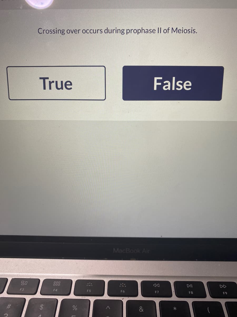 Crossing over occurs during prophase II of Meiosis.
True
False
MacBook Air
DII
DD
F3
F4
F5
F6
F7
F8
F9
%23
%24
&
