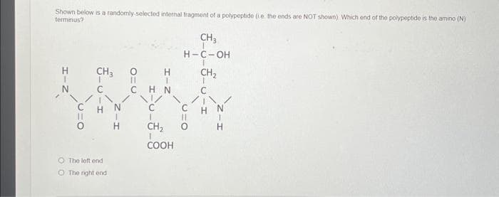 Shown below is a randomly selected internal fragment of a polypeptide (ie the ends are NOT shown) Which end of the polypeptide is the amino (N)
terminus?
H
CH3 O H
C
The left end
O The right end
Z-I
H
CHN
\/
CH₂
COOH
CH3
H-C-OH
CH₂
11