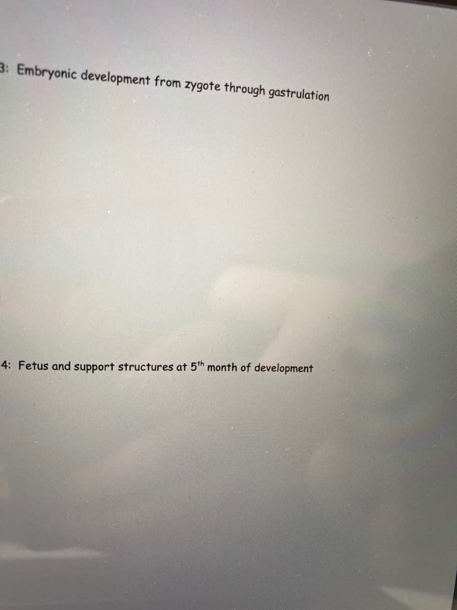 3: Embryonic development from zygote through gastrulation
4: Fetus and support structures at 5th month of development
