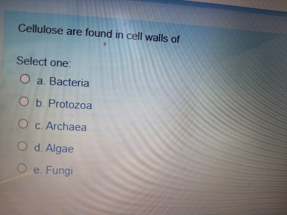 Cellulose are found in cell walls of
Select one:
O a. Bacteria
Ob. Protozoa
O c. Archaea
O d. Algae
O e. Fungi
