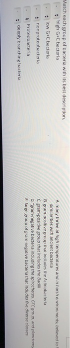 Match each group of bacteria with its best description.
high G+C bacterial
low G+C bacteria
nonproteobacteria
Proteobacteria
deeply branching bacterial
A. many thrive at high temperatures and in harsh environments; believed to
similarities with ancient bacteria
B. gram-positive group that includes the
Actinobacteria
C. gram-positive group that includes the Bacilli
D. "gram-negative bacteria including the spirochetes,
E. large group of gram-negative
GFC group, and planctomy
bacteria that includes five diverse classes