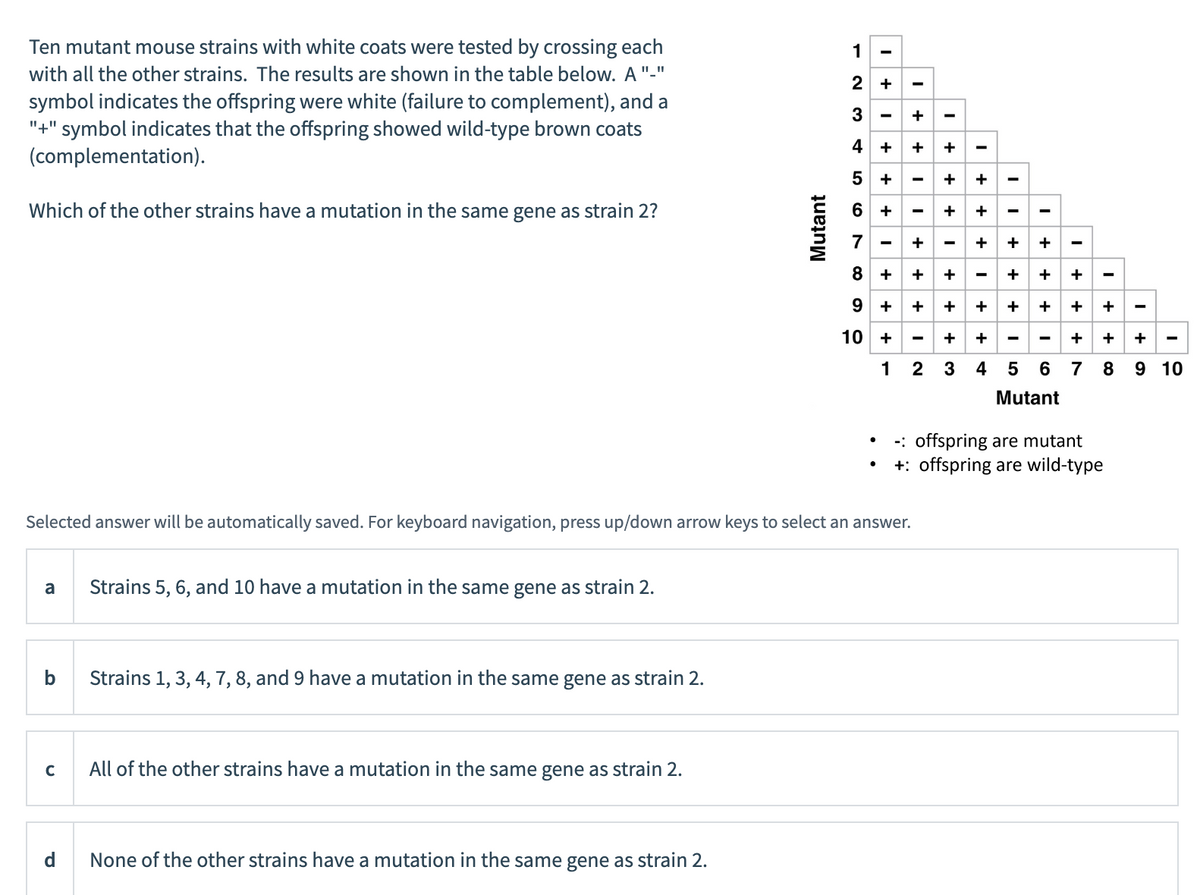 Ten mutant mouse strains with white coats were tested by crossing each
with all the other strains. The results are shown in the table below. A "-"
symbol indicates the offspring were white (failure to complement), and a
"+" symbol indicates that the offspring showed wild-type brown coats
(complementation).
Which of the other strains have a mutation in the same gene as strain 2?
a
b
с
d
Strains 5, 6, and 10 have a mutation in the same gene as strain 2.
Strains 1, 3, 4, 7, 8, and 9 have a mutation in the same gene as strain 2.
All of the other strains have a mutation in the same gene as strain 2.
Mutant
None of the other strains have a mutation in the same gene as strain 2.
1
2 +
3
4 +
5 +
Selected answer will be automatically saved. For keyboard navigation, press up/down arrow keys to select an answer.
+++++
6 +
8 +
9
10
+
+
1
I
+++++
+ + + + + +
+++ I
+++ I
+
+++ I
-
+
+
+ + +
2 3 4 5 6 7 8 9 10
Mutant
++
+
-: offspring are mutant
+: offspring are wild-type
I