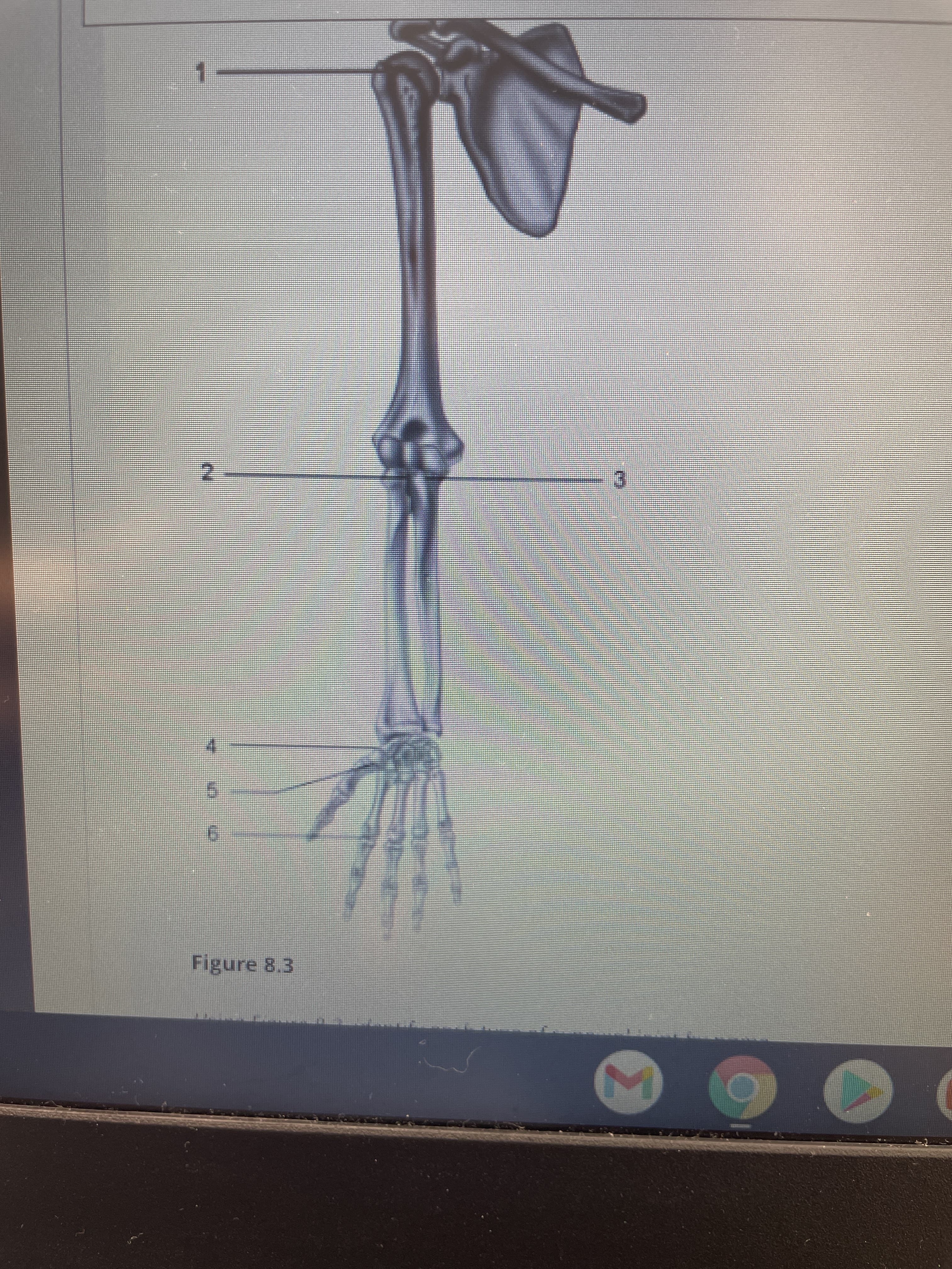 Σ
2.
Figure 8.3
