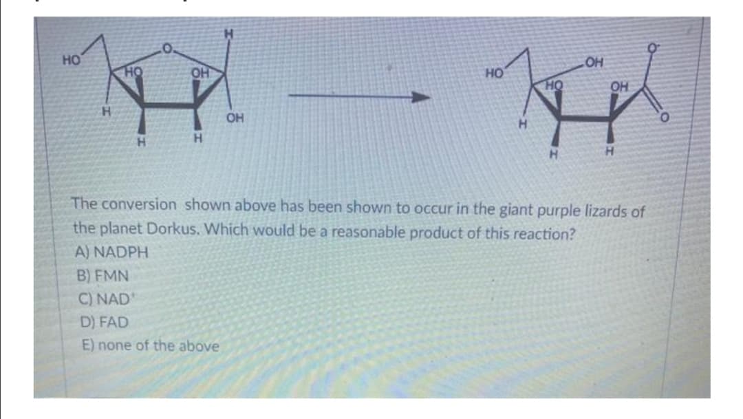 HO
OH
OH
но
HQ
OH
OH
H.
H.
The conversion shown above has been shown to occur in the giant purple lizards of
the planet Dorkus. Which would be a reasonable product of this reaction?
A) NADPH
B) FMN
C) NAD
D) FAD
E) none of the above
