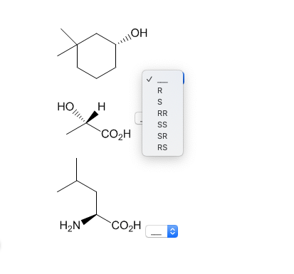 OH
R
но
H
RR
CO2H
SR
RS
H2N
CO2H
<>
