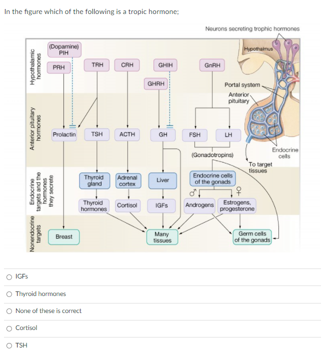 In the figure which of the following is a tropic hormone;
Neurons secreting trophic hormones
(Dopamine)
PIH
Hypothalmus
PRH
TRH
CRH
GHIH
GNRH
GHRH
Portal system
Anterior
pituitary
Prolactin
TSH
ACTH
GH
FSH
LH
Endocrine
(Gonadotropins)
cells
To target
tissues
Thyroid
giand
Adrenal
Endocrine cells
of the gonads
Liver
cortex
Thyroid
hormones
Estrogens,
progesterone
Cortisol
IGFS
Androgens
Germ cells
Many
tissues
Breast
of the gonads
O IGFS
O Thyroid hormones
None of these is correct
O Cortisol
O TSH
Endocrine
targets and the
hormones
they secrete
Anterior pituitary
hormones
Hypothalamic
hormones
Nonendocrine
targets
