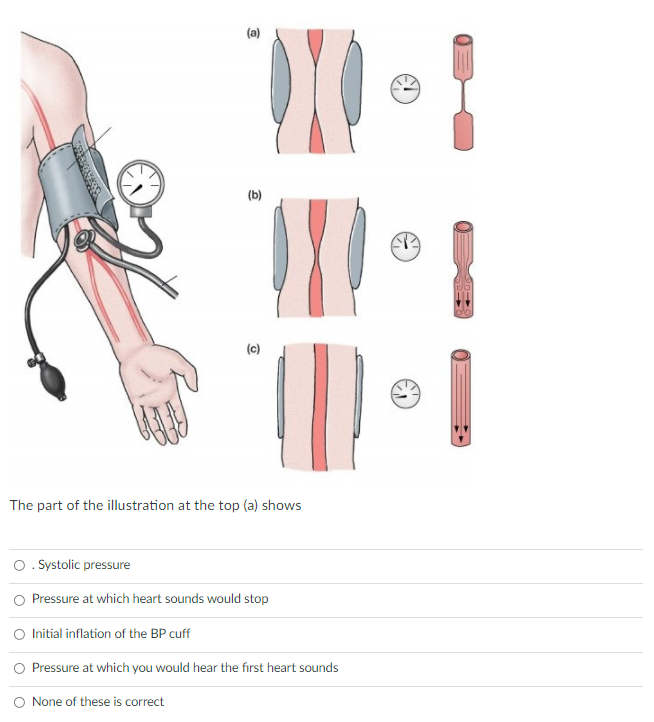 (a)
(b)
(c)
The part of the illustration at the top (a) shows
O. Systolic pressure
Pressure at which heart sounds would stop
O Initial inflation of the BP cuff
O Pressure at which you would hear the first heart sounds
O None of these is correct
