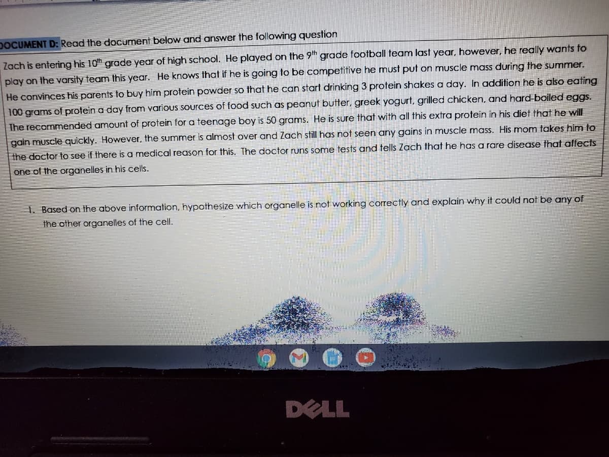 ### Document D

#### Instructions:
Read the document below and answer the following question.

---

Zach is entering his 10th grade year of high school. He played on the 9th-grade football team last year; however, he really wants to play on the varsity team this year. He knows that if he is going to be competitive he must put on muscle mass during the summer. 
He convinces his parents to buy him protein powder so that he can start drinking 3 protein shakes a day. In addition, he is also eating 100 grams of protein a day from various sources of food such as peanut butter, Greek yogurt, grilled chicken, and hard-boiled eggs. The recommended amount of protein for a teenage boy is 50 grams. He is sure that with all this extra protein in his diet that he will gain muscle quickly. However, the summer is almost over and Zach still has not seen any gains in muscle mass. His mom takes him to the doctor to see if there is a medical reason for this. The doctor runs some tests and tells Zach that he has a rare disease that affects one of the organelles in his cells.

---

1. **Based on the above information, hypothesize which organelle is not working correctly and explain why it could not be any of the other organelles of the cell.**