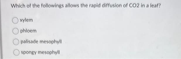 Which of the followings allows the rapid diffusion of CO2 in a leaf?
xylem
phloem
palisade mesophyll
spongy mesophyll
