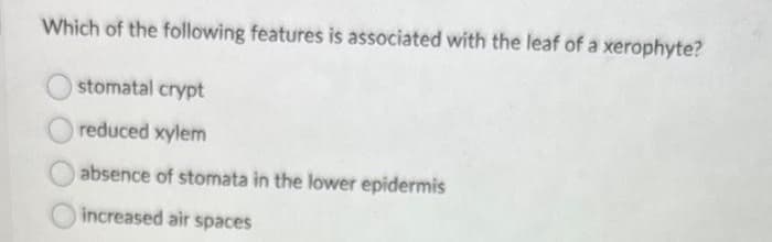 Which of the following features is associated with the leaf of a xerophyte?
stomatal crypt
reduced xylem
absence of stomata in the lower epidermis
increased air spaces