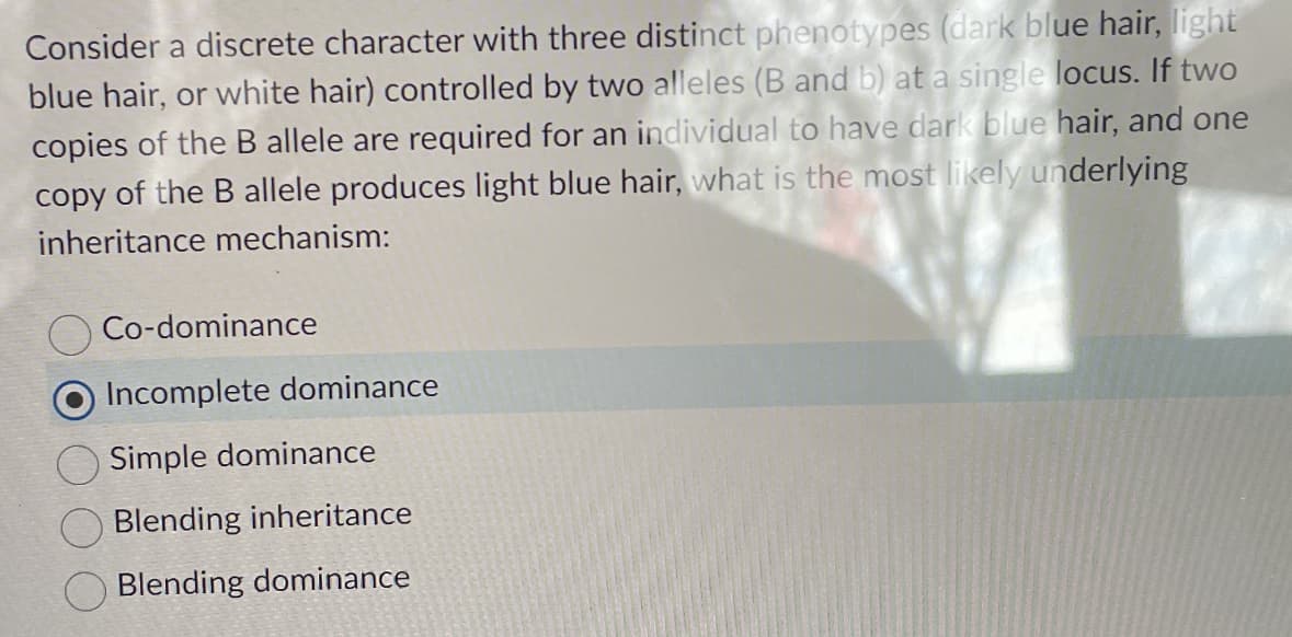 Consider a discrete character with three distinct phenotypes (dark blue hair, light
blue hair, or white hair) controlled by two alleles (B and b) at a single locus. If two
copies of the B allele are required for an individual to have dark blue hair, and one
copy of the B allele produces light blue hair, what is the most likely underlying
inheritance mechanism:
Co-dominance
Incomplete dominance
Simple dominance
Blending inheritance
Blending dominance