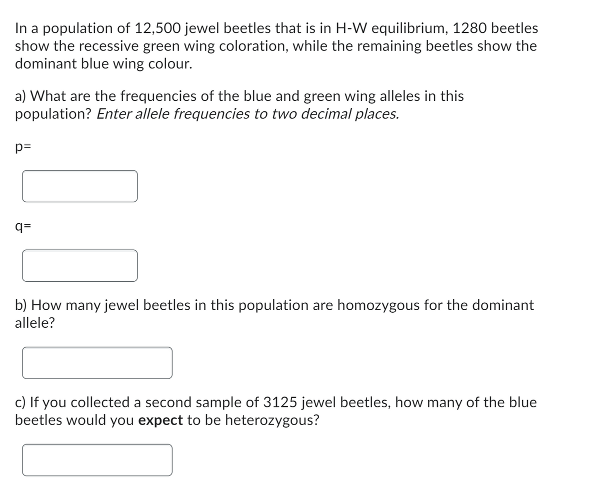 In a population of 12,500 jewel beetles that is in H-W equilibrium, 1280 beetles
show the recessive green wing coloration, while the remaining beetles show the
dominant blue wing colour.
a) What are the frequencies of the blue and green wing alleles in this
population? Enter allele frequencies to two decimal places.
p=
q=
b) How many jewel beetles in this population are homozygous for the dominant
allele?
c) If you collected a second sample of 3125 jewel beetles, how many of the blue
beetles would you expect to be heterozygous?