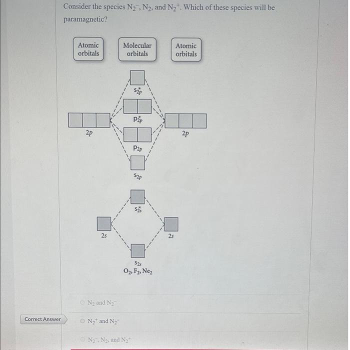 Correct Answer
Consider the species N₂, N₂, and N₂. Which of these species will be
paramagnetic?
Molecular
Atomic
orbitals
Atomic
orbitals
orbitals
2p
2p
2s
N₂ and N₂
ⒸN₂t and N₂
*
N₂ N₂, and N₂
Pip
2
52p
3
525
0₂ F₂, Ne₂
2s