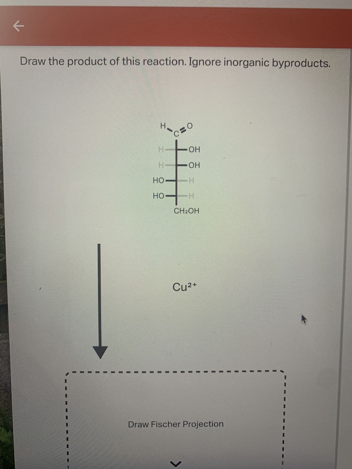 k
Draw the product of this reaction. Ignore inorganic byproducts.
H
C=O
HT
OH
HOH
HO H
HO
CH₂OH
Cu²+
Draw Fischer Projection
>