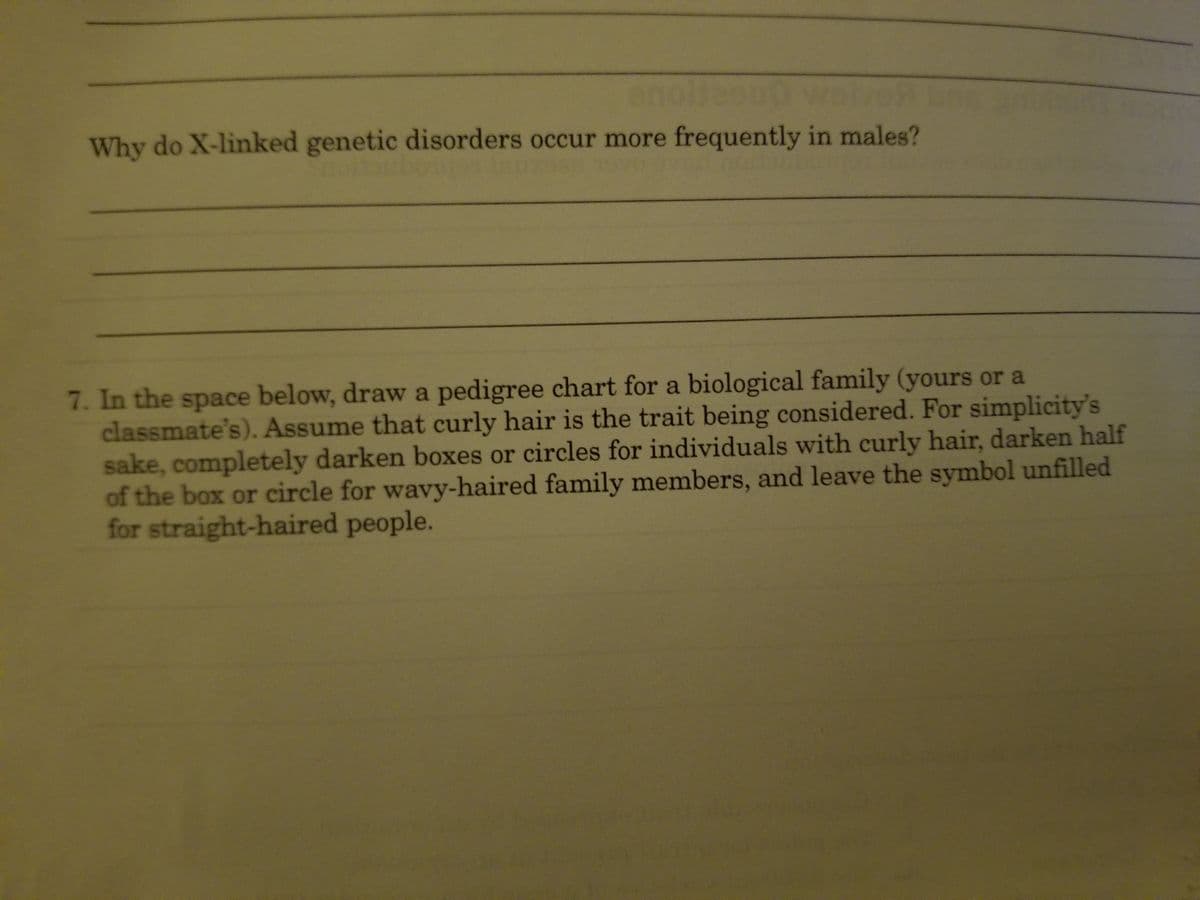 enoli
Why do X-linked genetic disorders occur more frequently in males?
7. In the space below, draw a pedigree chart for a biological family (yours or a
classmate's). Assume that curly hair is the trait being considered. For simplicity's
sake, completely darken boxes or circles for individuals with curly hair, darken half
of the box or circle for wavy-haired family members, and leave the symbol unfilled
for straight-haired people.
