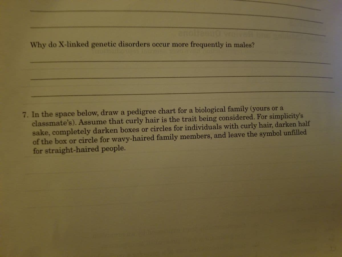 enoltesuo wo
Why do X-linked genetic disorders occur more frequently in males?
7. In the space below, draw a pedigree chart for a biological family (yours or a
classmate's). Assume that curly hair is the trait being considered. For simplicity's
sake, completely darken boxes or circles for individuals with curly hair, darken half
of the box or circle for wavy-haired family members, and leave the symbol unfilled
for straight-haired people.
