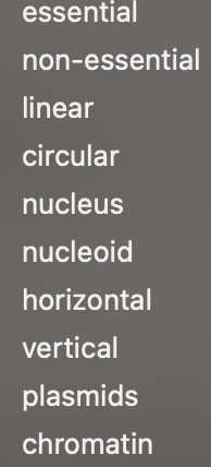 Below is a transcription of key terms that are essential for understanding the concept of genetics and molecular biology. These terms cover a range of topics including the structure of genetic material, cellular components where genetic material is stored, and various forms of genetic elements.

1. **Essential**
   - Fundamental or necessary components or genes required for the basic functioning and survival of an organism.

2. **Non-essential**
   - Components or genes that are not critical for basic survival but may provide advantageous traits or functionalities under certain conditions.

3. **Linear**
   - Refers to the shape of DNA molecules that form a straight chain, typically found in eukaryotic chromosomes.

4. **Circular**
   - Refers to DNA molecules that form a closed-loop structure, commonly found in prokaryotic cells and some plasmids.

5. **Nucleus**
   - The membrane-bound organelle in eukaryotic cells that contains the majority of the cell's genetic material.

6. **Nucleoid**
   - The region within a prokaryotic cell where the genetic material (DNA) is located, not surrounded by a membrane.

7. **Horizontal**
   - Pertains to horizontal gene transfer, a process where genetic material is transferred between organisms in a manner other than traditional reproduction.

8. **Vertical**
   - Refers to vertical gene transfer, which is the transmission of genetic material from parent to offspring during reproduction.

9. **Plasmids**
   - Small, circular, double-stranded DNA molecules that are distinct from the chromosomal DNA and can replicate independently within a bacterial cell. Plasmids often carry genes that provide beneficial traits, such as antibiotic resistance.

10. **Chromatin**
    - The complex of DNA and proteins, primarily histones, that make up the chromosomes in the nucleus of eukaryotic cells. Chromatin's structure plays a key role in regulating gene expression and DNA replication.