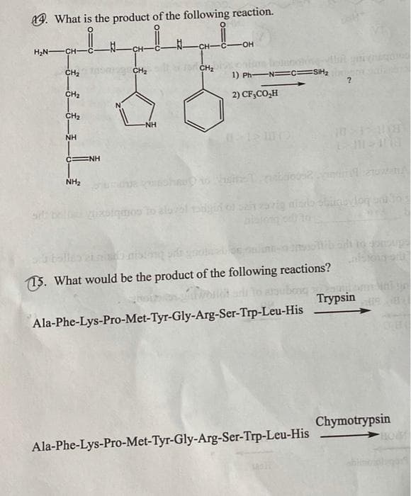 4. What is the product of the following reaction.
H2N -CH-
CH-
CH-C-
-HO-
CH2
CH2
CH2
1) Ph-
-N=c=SIH,
CH2
2) CF,CO,H
CH2
NH
NH
HN=
NH2
nido sbivlo
e o combjex
15. What would be the product of the following reactions?
Trypsin
Ala-Phe-Lys-Pro-Met-Tyr-Gly-Arg-Ser-Trp-Leu-His
Chymotrypsin
Ala-Phe-Lys-Pro-Met-Tyr-Gly-Arg-Ser-Trp-Leu-His
