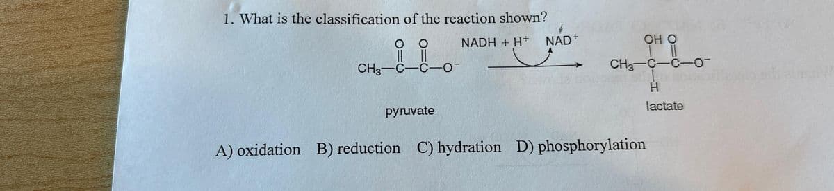 1. What is the classification of the reaction shown?
NADH + H+ NAD+
CH3-C-C-0-
pyruvate
OH O
| 11
CH3-C-C-0-
H
lactate
A) oxidation B) reduction C) hydration D) phosphorylation