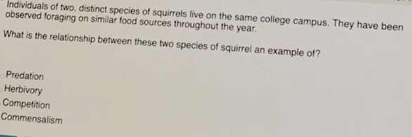 Individuals of two, distinct species of squirrels live on the same college campus. They have been
observed foraging on similar food sources throughout the year.
What is the relationship between these two species of squirrel an example of?
Predation
Herbivory
Competition
Commensalism
