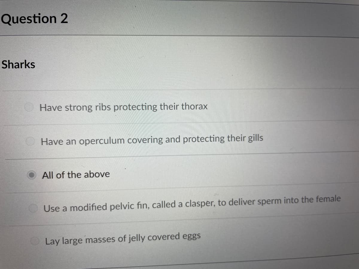 Question 2
Sharks
Have strong ribs protecting their thorax
OHave an operculum covering and protecting their gills
All of the above
Use a modified pelvic fin, called a clasper, to deliver sperm into the female
O Lay large masses of jelly covered eggs
